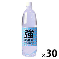 友桝飲料 強炭酸水 1L 1セット（30本）