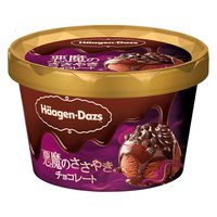 ハーゲンダッツ ジャパン [アイス] 悪魔のささやき チョコレート 86ml×6個 4976994207090 1セット(86ml×6個)（直送品）
