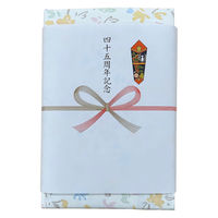 日繊商工 スポーツブランドのタオルギフト 45周年記念の熨斗付き 311211-45shune-5 1箱(5個入)（直送品）