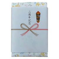 日繊商工 スポーツブランドのタオルギフト 2周年記念の熨斗付き 311213-2shune-5 1箱(5個入)（直送品）