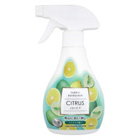 協和紙工 布のにおい消し シトラス 300ml 15-180 1箱(10個入)（直送品）