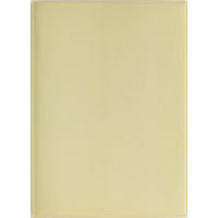 高橋書店 【2026年4月版】torinco7 B6 バーチカル 月曜始まり クリームピスタチオ 755 1冊（直送品）