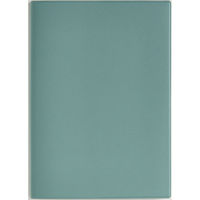 高橋書店 【2026年4月版】torinco2 B6 月間 日曜始まり ダルブルー 713 1冊（直送品）