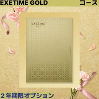 ユナイテッドスペース EXETIME GOLD(2年期限) 25104001 1個（直送品）