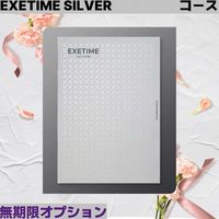 ユナイテッドスペース EXETIME SILVER(無期限) 25069001 1個（直送品）