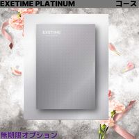 ユナイテッドスペース EXETIME PLATINUM★20(無期限) 25409001 1個（直送品）