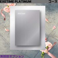 ユナイテッドスペース EXETIME PLATINUM★30(無期限) 25609001 1個（直送品）