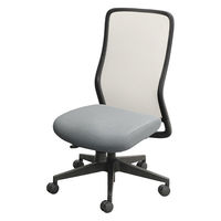 Netforce シースルーチェア チェア 肘なし オフィスチェア ブラックフレーム×座面ストーングレー 1脚（直送品）