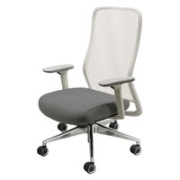 Netforce シースルーチェア オフィスチェア 肘付き アルミ脚 ホワイトフレーム×座面スレイトグレー 1脚（直送品）