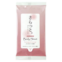 ニーズ 汗ふきシート 「さらっと。」 10枚 ノンアルコール ブーケットソープの香り NZW1603 1箱(200個入)（直送品）