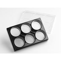 Elplasia プレート 6ウェル クリアボトムプレート黒 スクエアボトム 接着表面 1個×5パック入 4444 1ケース(5個)（直送品）