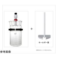 旭製作所 反応実験セット(反応容器+モールポー翼) 3000mL 3955-3000-MP 1式 69-3151-91（直送品）