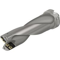 ワルタージャパン Walter カートリッジ仕様チップ交換式ドリル D4170-03-65.00N8-P45 1個 409-8486（直送品）