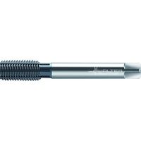 ワルタージャパン Prototyp HSSーEーPMー 転造タップ TC420-M16-L6-WW60BA 1本 418-4065（直送品）