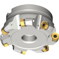 NTKカッティングツールズ TAEGUTEC フェースミル チェイス2ヘプタ 6枚刃 14D-F45XNH 680-27R-09 1本（直送品）