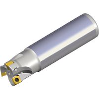 NTKカッティングツールズ TAEGUTEC エンドミル チェイスPミル 2枚刃 2P-TE90-216-W16-07 1本（直送品）