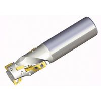 NTKカッティングツールズ TAEGUTEC シェルミル チェイスミル 2S-TEF D20-25-W20-AP09 1本 457-5308（直送品）