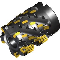 NTKカッティングツールズ TAEGUTEC シェルミル チェイスVクアッド 9枚刃 4S-TES-D40-27-16R-11V-3F 1本（直送品）