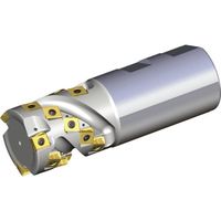 NTKカッティングツールズ TAEGUTEC ヘリカルエンドミル タングスフィード 21枚刃 4T-TEF D40-51-W40-09 1本（直送品）