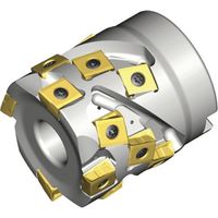 NTKカッティングツールズ TAEGUTEC シェルミル タングスフィード 25枚刃 4T-TES D80-56-32R-14 1本（直送品）