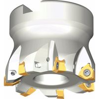 NTKカッティングツールズ TAEGUTEC フェースミル ミル2ラッシュ 10枚刃 6N TF90-1063-22R-04 1本（直送品）