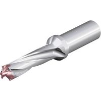 NTKカッティングツールズ TAEGUTEC 刃先交換式ドリルホルダー ドリルスフィード 3ED 190-199-25T0-3D 1本（直送品）