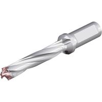 NTKカッティングツールズ TAEGUTEC 刃先交換式ドリルホルダー ドリルスフィード 3ED 190-199-25T2-5D 1本（直送品）