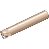 NTKカッティングツールズ TAEGUTEC セラミックエンドミル CRF 6060 050 120 TC3030 1本 458-3610（直送品）