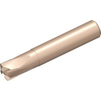 NTKカッティングツールズ TAEGUTEC セラミックエンドミル CRH 4080 TC3030 1本 458-1977（直送品）