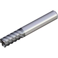 NTKカッティングツールズ TAEGUTEC ソリッドエンドミル SEH 6060T-R0.5 TT5515 1本 458-3650（直送品）