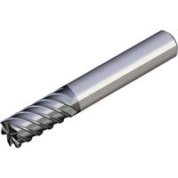 NTKカッティングツールズ TAEGUTEC ソリッドエンドミル SEH 6100T TT5515 1本 457-8887（直送品）