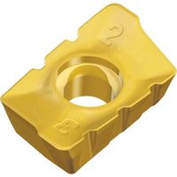 TAEGUTEC ミーリング加工用チップ チェイスミル APKT 1204 PER-SM TT6080 1セット(10個)（直送品）