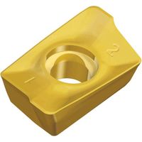 TAEGUTEC ミーリング加工用チップ チェイスミル APKT 120430R-EM TT6080 1セット(10個)（直送品）