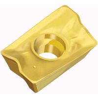 TAEGUTEC ミーリング加工用チップ チェイスミル APKT 1705 PER-M TT6080 1セット(10個)（直送品）