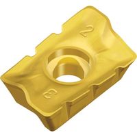 TAEGUTEC ミーリング加工用チップ チェイスミル APKT 1705 PER-SM TT6080 1セット(10個)（直送品）