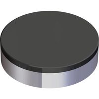 NTKカッティングツールズ TAEGUTEC 旋削加工用チップ Tーターン CBN RNGN 090300 FT TB670 1個（直送品）