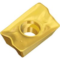 TAEGUTEC ミーリング加工用チップ チェイスミル APKT 170532R-M TT6080 1セット(10個)（直送品）