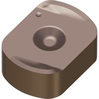 NTKカッティングツールズ TAEGUTEC セラミックスフィード BNGX 0904 CH-E04 TC3030 1セット(10個)（直送品）