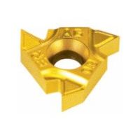 NTKカッティングツールズ TAEGUTEC Tスレッド 60°ねじ切りチップ 16ER AG 60 P30 1セット(5個)（直送品）