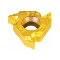 NTKカッティングツールズ TAEGUTEC Tスレッド 60°ねじ切りチップ 22IRM N 60 TT9030 1セット(5個)（直送品）