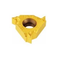 NTKカッティングツールズ TAEGUTEC Tスレッド NPTねじ切りチップ 16IR 11.5 NPT TT9080 1セット(2個)（直送品）