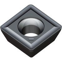 TAEGUTEC 刃先交換式ドリル用チップ Tドリル SPMG 050204 DG TT8020 1セット(10個)（直送品）