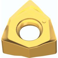 TAEGUTEC ミーリング加工用チップ ミル2ラッシュ 6NKU 040304R-M TT6080 1セット(10個)（直送品）