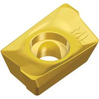 TAEGUTEC ミーリング加工用チップ チェイスミル APCT 09T3 PER-ML TT6080 1セット(10個)（直送品）