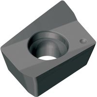 TAEGUTEC ミーリング加工用チップ チェイスミル AXCT 060202R-L TT5525 1セット(10個)（直送品）