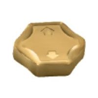 TAEGUTEC ミーリング加工用チップ ヘキサ2ミル HNCF 100510-WC TT6080 1セット(10個)（直送品）