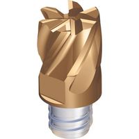 TAEGUTEC 交換式超硬ヘッド マキシラッシュ MXEE080L05R10-06S05 5523 1セット(2個)（直送品）