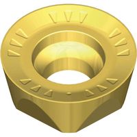 TAEGUTEC ミーリング加工用チップ チェイスモールド RTHX 1205-5MM TT8080 1セット(10個)（直送品）