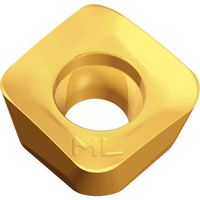 TAEGUTEC ミーリング加工用チップ チェイスフィード SBMT 130625R-ML TT8080 1セット(10個)（直送品）