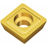 TAEGUTEC ミーリング加工用チップ チェイスクアッド SPMG 140508-EM TT6080 1セット(10個)（直送品）